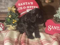 processed/90cf4e8e-6c9a-416f-af77-f1ec7d19d841/listing/73077059-cc94-4cab-a9c1-727bfb40530d/2e4a10ea-56ce-455e-a02f-096caca3a8d2