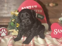 processed/90cf4e8e-6c9a-416f-af77-f1ec7d19d841/listing/73077059-cc94-4cab-a9c1-727bfb40530d/346ede95-3bc5-420d-ae7d-00fd7e7d9ad0