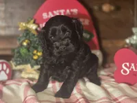 processed/90cf4e8e-6c9a-416f-af77-f1ec7d19d841/listing/73077059-cc94-4cab-a9c1-727bfb40530d/3d4f2e61-506c-4976-978f-c2a6d11a56da