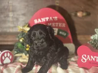 processed/90cf4e8e-6c9a-416f-af77-f1ec7d19d841/listing/73077059-cc94-4cab-a9c1-727bfb40530d/5659f124-7172-47e3-a956-e19ca9111450