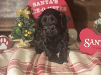 processed/90cf4e8e-6c9a-416f-af77-f1ec7d19d841/listing/73077059-cc94-4cab-a9c1-727bfb40530d/8fc51e0b-f626-49c0-b0a9-f6268ea9e054