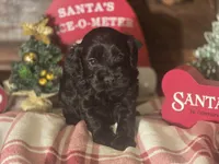 processed/90cf4e8e-6c9a-416f-af77-f1ec7d19d841/listing/73077059-cc94-4cab-a9c1-727bfb40530d/a9f39641-d864-4b61-b2a6-c79b2e742d27