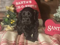 processed/90cf4e8e-6c9a-416f-af77-f1ec7d19d841/listing/73077059-cc94-4cab-a9c1-727bfb40530d/e415839e-b0a8-45f6-95fb-9625990e2b4a