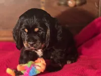 processed/90cf4e8e-6c9a-416f-af77-f1ec7d19d841/listing/7ed9ee16-a681-47af-9e6e-39be25f531e8/29123937-d33f-49d7-bf00-7e8c9ffe7c7c