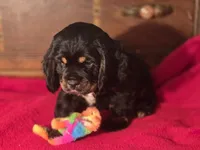 processed/90cf4e8e-6c9a-416f-af77-f1ec7d19d841/listing/7ed9ee16-a681-47af-9e6e-39be25f531e8/c2da2081-68ef-4f00-8932-306c862e4b60