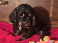 processed/90cf4e8e-6c9a-416f-af77-f1ec7d19d841/listing/7ed9ee16-a681-47af-9e6e-39be25f531e8/ca612a1e-2bec-41e9-b319-ba178ba3f7b6