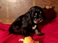 processed/90cf4e8e-6c9a-416f-af77-f1ec7d19d841/listing/7ed9ee16-a681-47af-9e6e-39be25f531e8/cb8e395c-f4df-4e4b-95f3-ce177524a941