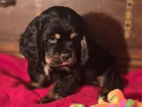 processed/90cf4e8e-6c9a-416f-af77-f1ec7d19d841/listing/7ed9ee16-a681-47af-9e6e-39be25f531e8/d33c62a4-2da3-455d-8558-4474c68fb75f