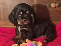 processed/90cf4e8e-6c9a-416f-af77-f1ec7d19d841/listing/7ed9ee16-a681-47af-9e6e-39be25f531e8/e4bc52c6-2322-45d2-851e-ee606be43f04