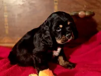 processed/90cf4e8e-6c9a-416f-af77-f1ec7d19d841/listing/7ed9ee16-a681-47af-9e6e-39be25f531e8/e670904c-42ab-4cdf-8d78-abfc9c230f22