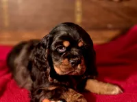 processed/90cf4e8e-6c9a-416f-af77-f1ec7d19d841/listing/82967b11-12a4-4006-9b76-d4b6c7ff7736/296412ff-7631-40f5-b191-a8ca0fdd1c93