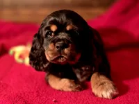 processed/90cf4e8e-6c9a-416f-af77-f1ec7d19d841/listing/82967b11-12a4-4006-9b76-d4b6c7ff7736/4a8c19f7-6fcb-48e9-8c6a-e6d2da9d762e