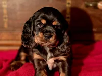 processed/90cf4e8e-6c9a-416f-af77-f1ec7d19d841/listing/82967b11-12a4-4006-9b76-d4b6c7ff7736/66a72cfc-87d3-44ec-bd77-d983473edfe2