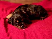 processed/90cf4e8e-6c9a-416f-af77-f1ec7d19d841/listing/82967b11-12a4-4006-9b76-d4b6c7ff7736/ede53782-29d2-49b7-951d-eb11c24c8680