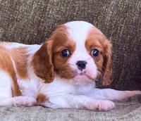 processed/90cf4e8e-6c9a-416f-af77-f1ec7d19d841/listing/982a1c27-46aa-47b3-9220-8a18e3a1df80/92802e1b-fcf0-4d1a-8248-72bdbc7be2de