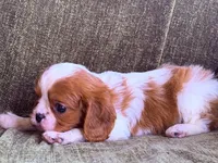 processed/90cf4e8e-6c9a-416f-af77-f1ec7d19d841/listing/982a1c27-46aa-47b3-9220-8a18e3a1df80/9e1a0e2d-06d4-4e45-8f65-40c9206f11f4