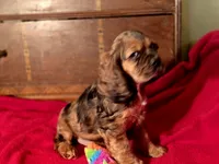 processed/90cf4e8e-6c9a-416f-af77-f1ec7d19d841/listing/c3d1d948-7e12-4a9d-9dc7-89f460b81967/27da6279-0981-469e-9d01-90f501f6b894