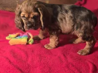 processed/90cf4e8e-6c9a-416f-af77-f1ec7d19d841/listing/c3d1d948-7e12-4a9d-9dc7-89f460b81967/49ddf303-99c5-4703-9707-304df4b8839c