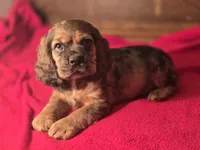 processed/90cf4e8e-6c9a-416f-af77-f1ec7d19d841/listing/c3d1d948-7e12-4a9d-9dc7-89f460b81967/573d04ec-311e-48fc-a4d4-f1c856f1580b