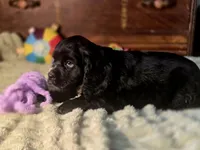 processed/90cf4e8e-6c9a-416f-af77-f1ec7d19d841/listing/c83e08a1-de86-4a3e-8d86-1bd1add16029/03e61e30-97bc-4668-9a84-1c372c6f4bce