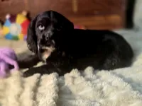 processed/90cf4e8e-6c9a-416f-af77-f1ec7d19d841/listing/c83e08a1-de86-4a3e-8d86-1bd1add16029/20fa21eb-244d-491e-94c3-96e62161687f