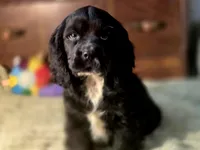 processed/90cf4e8e-6c9a-416f-af77-f1ec7d19d841/listing/c83e08a1-de86-4a3e-8d86-1bd1add16029/5040cd58-2916-4ea6-98e3-104bfa5d05ac