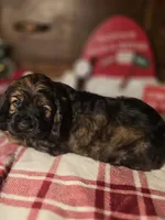 processed/90cf4e8e-6c9a-416f-af77-f1ec7d19d841/listing/d1e4c0d9-b5ce-47e2-bc02-e43a0a46fc37/05cda485-0e28-46e5-8ebd-87ee63465910