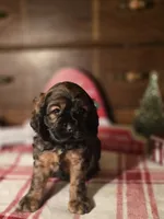 processed/90cf4e8e-6c9a-416f-af77-f1ec7d19d841/listing/d1e4c0d9-b5ce-47e2-bc02-e43a0a46fc37/a891d683-a9f1-4deb-8e43-cec6c139463e