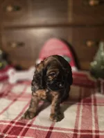 processed/90cf4e8e-6c9a-416f-af77-f1ec7d19d841/listing/d1e4c0d9-b5ce-47e2-bc02-e43a0a46fc37/a8d69ae0-e9cf-419b-889d-3c65c172d3f6