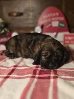 processed/90cf4e8e-6c9a-416f-af77-f1ec7d19d841/listing/d1e4c0d9-b5ce-47e2-bc02-e43a0a46fc37/ce751dae-8f72-4d19-8942-4ab77f41e967