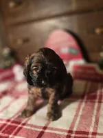 processed/90cf4e8e-6c9a-416f-af77-f1ec7d19d841/listing/d1e4c0d9-b5ce-47e2-bc02-e43a0a46fc37/da79566a-7c3a-47d1-bde2-5410cbca8999