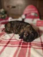 processed/90cf4e8e-6c9a-416f-af77-f1ec7d19d841/listing/d1e4c0d9-b5ce-47e2-bc02-e43a0a46fc37/e13026c7-15bb-4880-88da-8b02a5cf7172