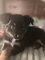 processed/90cf4e8e-6c9a-416f-af77-f1ec7d19d841/listing/dbf4b61f-a548-4e69-89a6-ae50b39887bf/135ebeee-81ee-4f3a-96ee-69551f458a5e