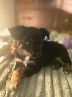 processed/90cf4e8e-6c9a-416f-af77-f1ec7d19d841/listing/dbf4b61f-a548-4e69-89a6-ae50b39887bf/1df455e2-5aa9-4fd8-b98c-8cd5a435cf16