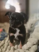 processed/90cf4e8e-6c9a-416f-af77-f1ec7d19d841/listing/dbf4b61f-a548-4e69-89a6-ae50b39887bf/4b36d1a3-0c2f-43f6-ae68-d0a82d710a28