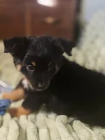 processed/90cf4e8e-6c9a-416f-af77-f1ec7d19d841/listing/dbf4b61f-a548-4e69-89a6-ae50b39887bf/6bd5e80e-30ef-47f1-b3b9-74fd10a9dcf1