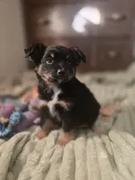 processed/90cf4e8e-6c9a-416f-af77-f1ec7d19d841/listing/dbf4b61f-a548-4e69-89a6-ae50b39887bf/8c8f8ff7-5a7c-4178-b6d2-9c5b0f2900b0