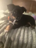 processed/90cf4e8e-6c9a-416f-af77-f1ec7d19d841/listing/dbf4b61f-a548-4e69-89a6-ae50b39887bf/8da33feb-c192-4012-8d81-34e0fe58fff2