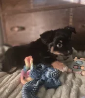 processed/90cf4e8e-6c9a-416f-af77-f1ec7d19d841/listing/dbf4b61f-a548-4e69-89a6-ae50b39887bf/9017ee78-c10b-4886-80fc-93fbf886913c