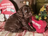 processed/90cf4e8e-6c9a-416f-af77-f1ec7d19d841/listing/ede715c7-9cac-43fa-9f03-7ffe1cb64723/229fae2a-281b-40f2-8126-17fc0222d6b6