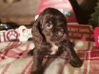 processed/90cf4e8e-6c9a-416f-af77-f1ec7d19d841/listing/ede715c7-9cac-43fa-9f03-7ffe1cb64723/262a53f3-44de-4a9c-b25e-9239f98ceb23