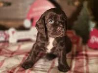 processed/90cf4e8e-6c9a-416f-af77-f1ec7d19d841/listing/ede715c7-9cac-43fa-9f03-7ffe1cb64723/553d03ca-af91-431c-a574-207851a9c758