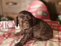 processed/90cf4e8e-6c9a-416f-af77-f1ec7d19d841/listing/ede715c7-9cac-43fa-9f03-7ffe1cb64723/6594cb1e-ef15-48e0-87e4-653e2e4ff3ac