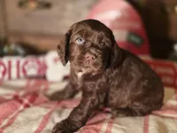 processed/90cf4e8e-6c9a-416f-af77-f1ec7d19d841/listing/ede715c7-9cac-43fa-9f03-7ffe1cb64723/943728b2-60e4-4b80-ba00-81f89f448136