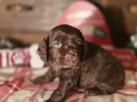 processed/90cf4e8e-6c9a-416f-af77-f1ec7d19d841/listing/ede715c7-9cac-43fa-9f03-7ffe1cb64723/ba9a90f8-ecce-45b0-ad1e-04536ac57de5