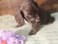 processed/90cf4e8e-6c9a-416f-af77-f1ec7d19d841/listing/fc863f1a-1476-4253-b98e-2033ab2af762/3e8f531e-ed38-417c-a08c-36ea7bda4cdd