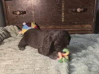 processed/90cf4e8e-6c9a-416f-af77-f1ec7d19d841/listing/fc863f1a-1476-4253-b98e-2033ab2af762/811c5223-b30c-479b-b2a5-0ef73aeb7cba