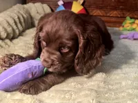 processed/90cf4e8e-6c9a-416f-af77-f1ec7d19d841/listing/fc863f1a-1476-4253-b98e-2033ab2af762/c0a5d854-fffb-40b1-a523-3272e05609bd