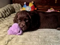 processed/90cf4e8e-6c9a-416f-af77-f1ec7d19d841/listing/fc863f1a-1476-4253-b98e-2033ab2af762/d6766f91-bdec-4a03-b980-f28ed6069f76