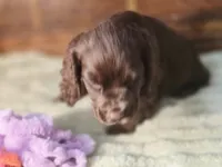 processed/90cf4e8e-6c9a-416f-af77-f1ec7d19d841/listing/fc863f1a-1476-4253-b98e-2033ab2af762/e91abbf3-34cb-451a-99cc-fd9417d7cdcf